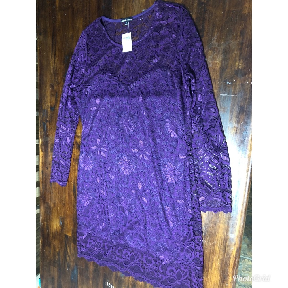Lon sleeve lace overlay dress